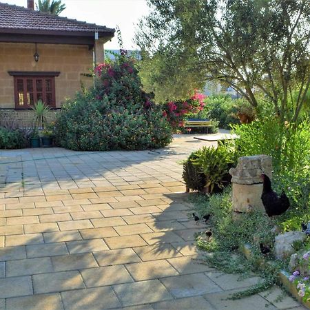 Golden Palms Guest House & Cafe Αμμόχωστος Εξωτερικό φωτογραφία