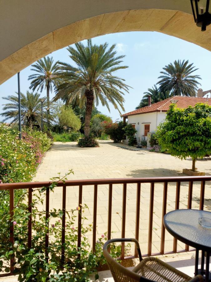 Golden Palms Guest House & Cafe Αμμόχωστος Εξωτερικό φωτογραφία