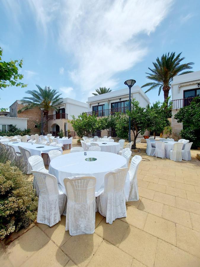 Golden Palms Guest House & Cafe Αμμόχωστος Εξωτερικό φωτογραφία
