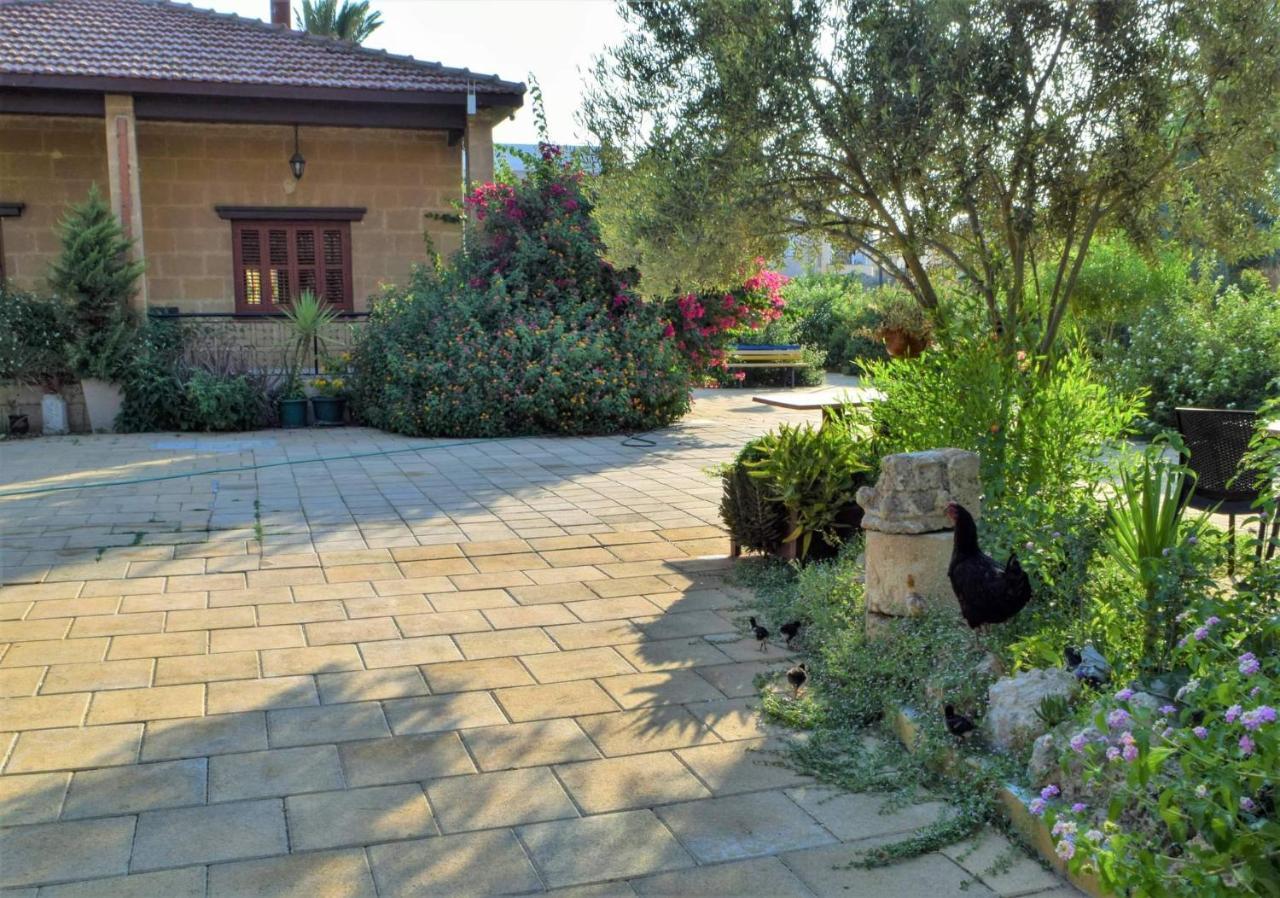 Golden Palms Guest House & Cafe Αμμόχωστος Εξωτερικό φωτογραφία