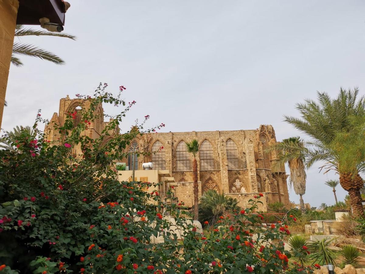 Golden Palms Guest House & Cafe Αμμόχωστος Εξωτερικό φωτογραφία