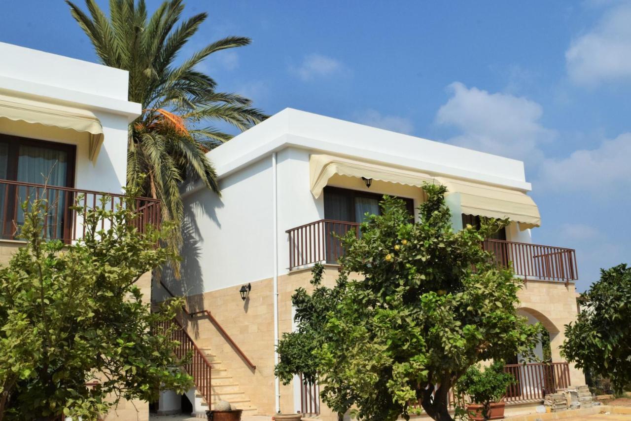 Golden Palms Guest House & Cafe Αμμόχωστος Εξωτερικό φωτογραφία